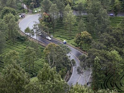 Pemerintah Ingin Mengalihkan RTH Jakarta ke Puncak, Setuju?