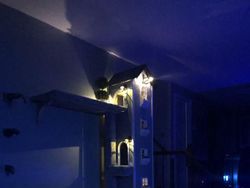 Sayang Kucing, Sang Majikan Buatkan Rumah Keren