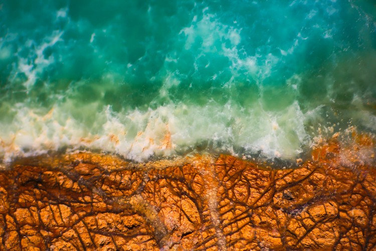Olympus Image of the Year 2019 Olympus Image of the Year 2019