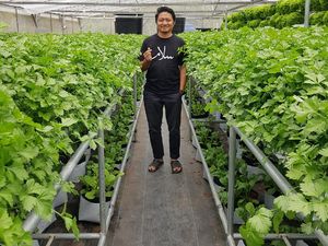 Tak Direstui karena Hanya Petani, Pria Ini Buat Ibu Mantan Pacar Menyesal