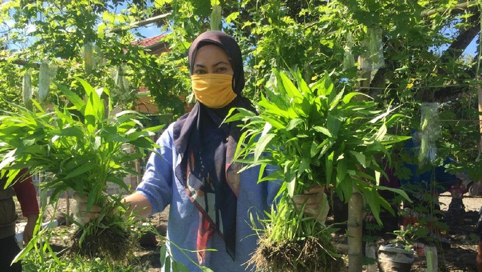 Pemkab Luwu Utara
