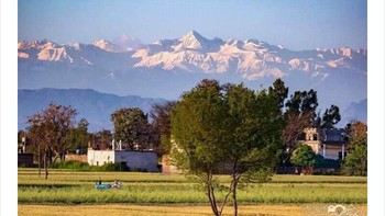 Banyak di antara warga yang membagikan foto menyebutkan, ini pertama kalinya mereka bisa menyaksikan Himalaya dari rumah.  Foto: via Bored Panda