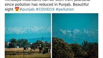 Banyak juga yang berkomentar, ini adalah indikasi bahwa sebelum terjadi pandemi, alamsudah sangat tercemar. Foto: via Bored Panda