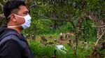Ini Lahan Pemakaman yang Disiapkan untuk Korban COVID-19 di Semarang