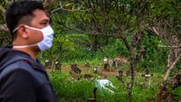 Warga berjalan di kompleks Tempat Pemakaman Umum (TPU) Sasanalaya Girilayu, Kelurahan Candirejo, Ungaran Barat, Kabupaten Semarang, Jawa Tengah, Sabtu (11/4/2020).