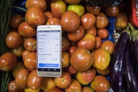 Belanja online jadi alternatif untuk memenuhi kebutuhan sehari-hari selama pembatasan sosial imbas Corona. Hal itu diharapkan dapat cegah penyebaran COVID-19.