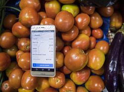 Cegah Penyebaran Corona, Belanja Online Jadi Primadona