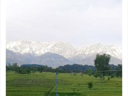 Karena Pandemi, Polusi Berkurang dan Himalaya Tampak Nyata