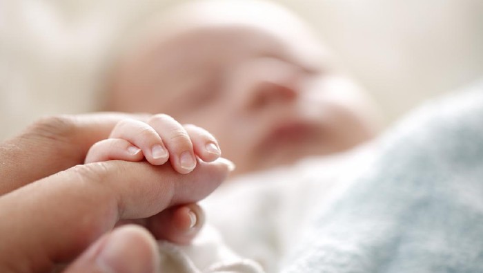 melahirkan Sleeping baby clenches his parents fingers; Soft focus and blurry