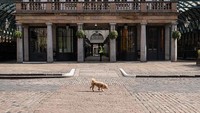 Kawasan Covent Garden piazza di Kota London, yang biasanya ramai dengan aktivitas warga kini tampak sepi. Potret kawasan Covent Garden yang diabadikan pada 1 April 2020 lalu tampak berbeda dengan suasana kawasan itu pada tahun 2012 silam yang ramai dengan aktivitas warga maupun wisatawan. Leon Neal/Getty Images, Peter Macdiarmid/Getty Images.