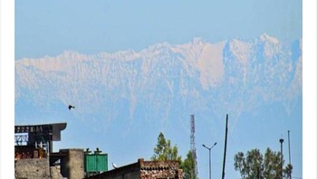 Netizen pun memuji dampak positif dari pandemi corona terhadap tingkat polusi udara di India. Foto: via Bored Panda