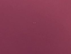 Kocak, Kumpulan Foto Gagal Binatang di Alam Liar