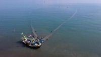 Sejumlah nelayan menarik jaring pukat di pantai Tiris, Kecamatan Pasekan, Indramayu, Jawa Barat, Minggu (12/4/2020).
