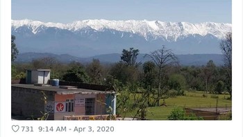 Sebagian netizen menyebut pandemi adalah cara alam membersihkan diri. Foto: via Bored Panda