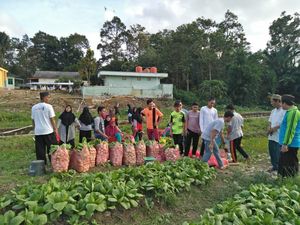 Sekolah SMA di Palembang Punya Lahan Sayuran, Kini Siap Panen