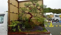 Ada salah satu hasil kreasi taman yang menggunakan bonsai dan juga dinding dari bambu. Para tukang kebun di Jepang sungguh kreatif. (dok. Zoenren-Osaka)