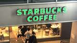 BUMN Perkebunan Pasok Daun Teh buat Starbucks