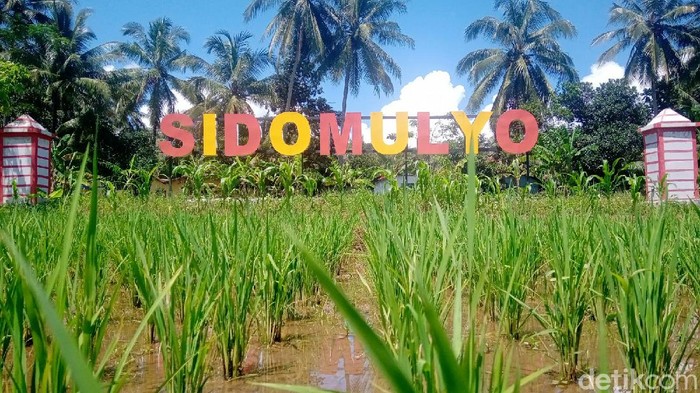 Desa Sidomulyo, Purworejo siap terima jenazah pasien Corona yang ditolak
