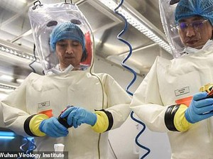Misteri Virus Corona Mematikan Sudah Ditemukan 7 Tahun Silam
