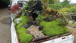 Foto: Cuma di Jepang, Lomba Membuat Taman di Bak Pickup