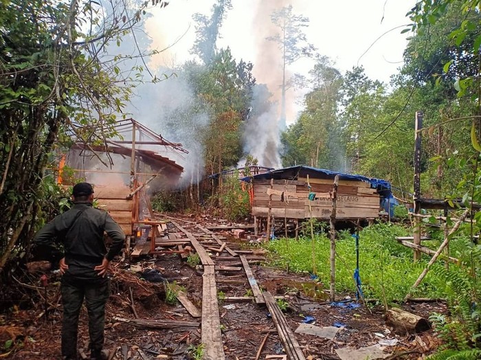 BKSDA Riau bakar gubuk pelaku illegal loggin (dok. Istimewa)