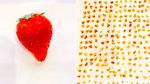 Idol Jepang Ini Super Bosan, Hitung Biji Jagung Sampai Strawberry