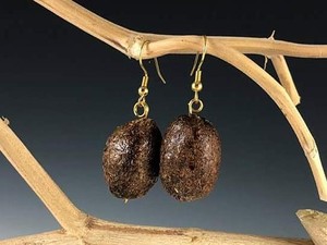 Eww! Seniman Ini Bikin Anting dari Kotoran Hewan, Dijual Rp 300 Ribuan