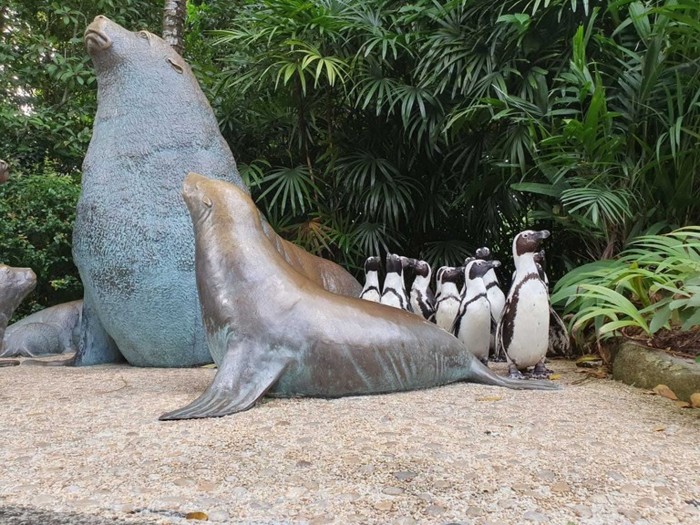 penguin Wildlife Reserves Singapore