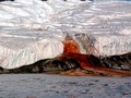 Air Terjun Darah di Antartika Ternyata Penuh dengan Kehidupan