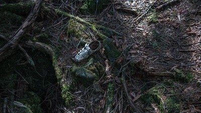 Foto: Hutan Tempat Langganan Bunuh Diri di Jepang