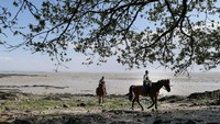 Seperti inilah saat polisi berkuda berkeliling hingga ke bibir pantai di Cancale, Prancis Barat memantau aktivitas warga.