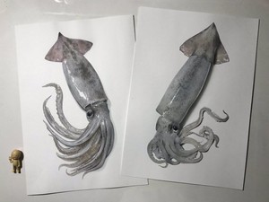 Keren! Ilustrator Ini Gambar Cumi hingga Chicken Wing Bikin Laper