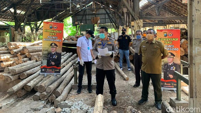 illegal logging di bojonegoro