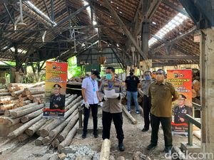 4 Pembalak Liar Diamankan, 1.348 Batang Kayu Jati Disita