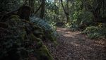 Deretan Tempat Horor dan Misterius di Dunia, Berani Singgah?