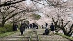 Potret Destinasi Teromantis Kyoto dengan Kisah Kelam
