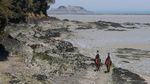 Polisi Prancis Berpatroli Naik Kuda saat Lockdown