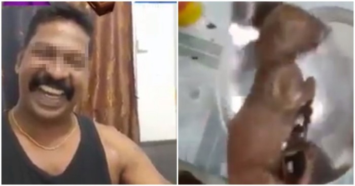 Minum alkohol campur bayi harimau