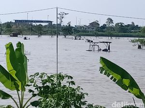Direndam Banjir, Akankah Tol Laut Madiun Terulang Lagi?
