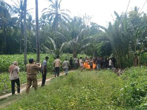 Mayat Nenek ODP Corona di Sulsel Ditemukan Membusuk di Samping Rumah