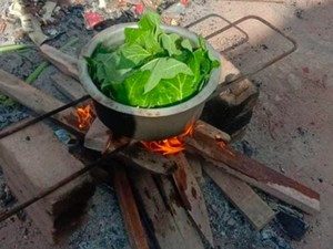 Tak Ada Uang, Buruh Pabrik Makan Daun Pepaya Rebus Berhari-hari