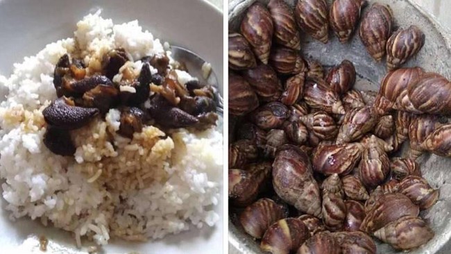 Paket Sembako Rp 15.000 yang Bikin Kesal hingga Netizen Makan Bekicot