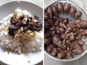 Paket Sembako Rp 15.000 yang Bikin Kesal hingga Netizen Makan Bekicot