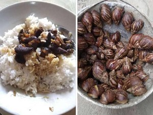 Tak Punya Lauk, Netizen Ini Menyantap Bekicot