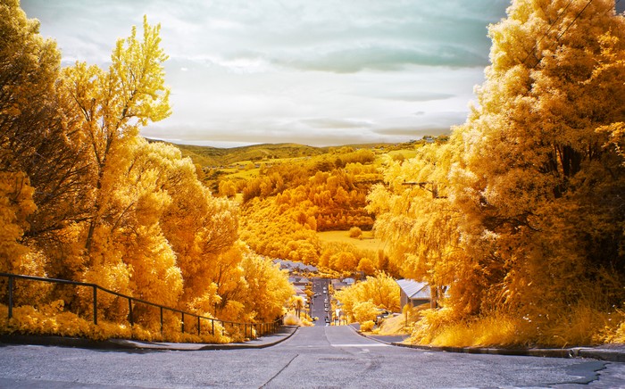 Jalan Baldwin, Dunedin, New Zealand