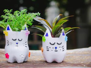 Usir Bosan di Rumah, Ubah Botol Plastik Bekas Jadi Kreasi Bermanfaat
