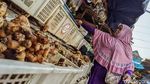 Harga-harga Masih Normal Walau Diberlakukan PSBB di Tangsel