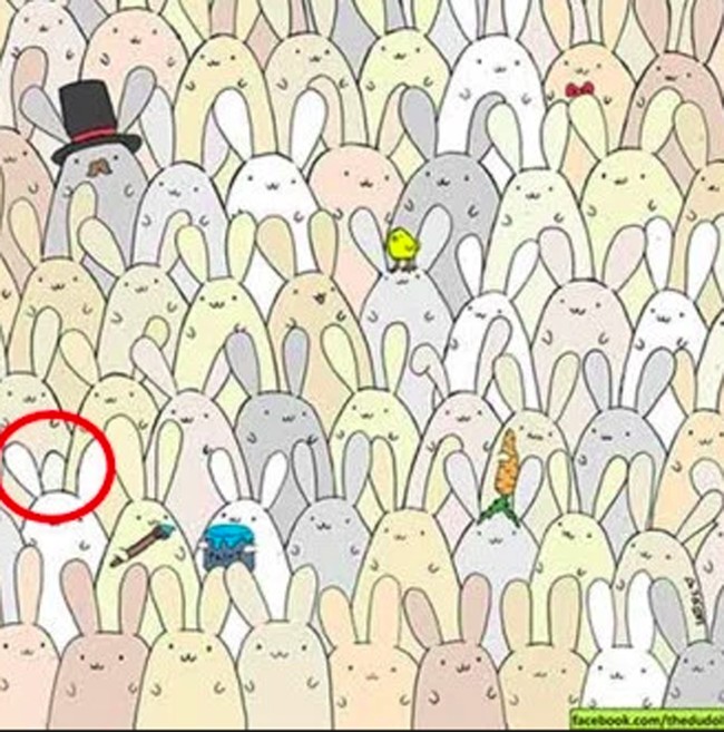 Berhasil menebak? Foto: Facebook Dudolf