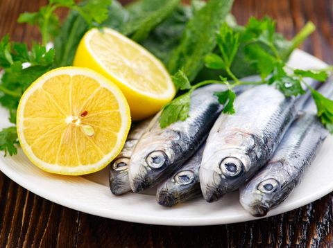 ilustrasi ikan sarden