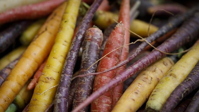 Wortel hingga Pala, 5 Makanan Ini Alami Fenomena Alam yang Aneh